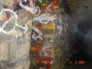 DSC00110